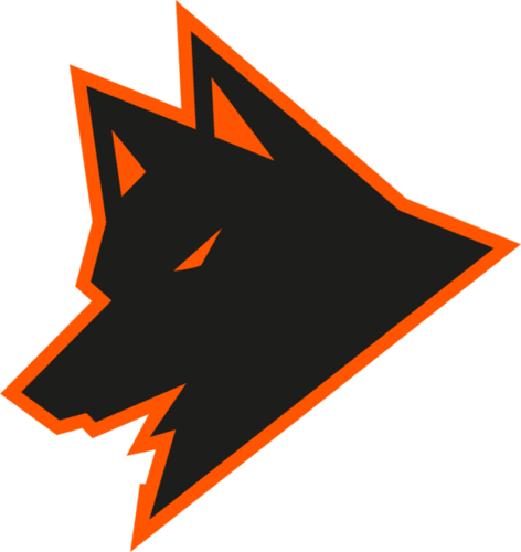 Guara Esports